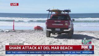 Shark Attack At Del Mar Beach