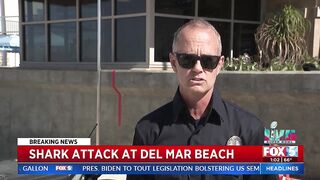 Shark Attack At Del Mar Beach