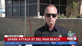 Shark Attack At Del Mar Beach