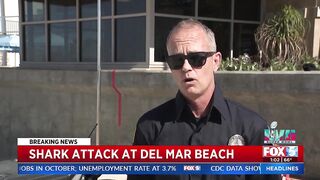 Shark Attack At Del Mar Beach