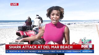 Shark Attack At Del Mar Beach