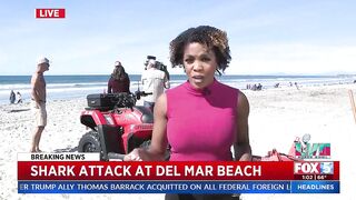 Shark Attack At Del Mar Beach