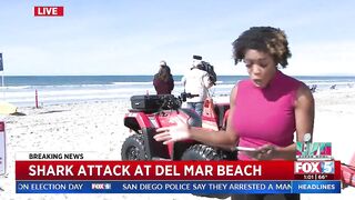 Shark Attack At Del Mar Beach