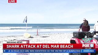 Shark Attack At Del Mar Beach