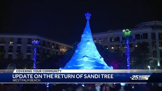 Sandi Tree returns to West Palm Beach