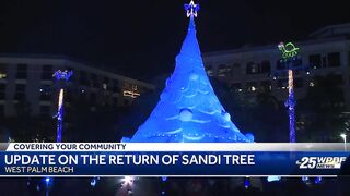 Sandi Tree returns to West Palm Beach