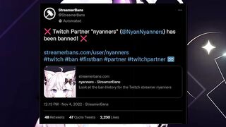 Nijisanji Vtuber Can't Stream... | Fans Miss Petra Gurin, Hololive's Suisei Returns, Nyanners Banned