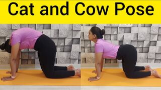 Marjariasana / Bitilasana / Cat and Cow Pose / मार्जरी आसन / बितिलासन / Asana / Yoga / YogArti