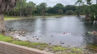 Western communities in Palm Beach County preparing for flooding ahead of Nicole