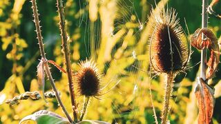 Yoga Music.Positive Energy, Rhythmic, Relaxing Music #raindrops #relaxingmusic