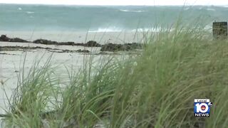 Parts of Fort Lauderdale beach shut down as Hurricane Nicole nears Florida coast