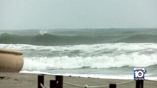 Hollywood Beach businesses brace for high tide