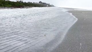 Tropical Storm Nicole flooding and storm surge hits Florida, from Palm Beach to Flagler Beach