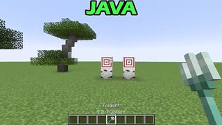 minecraft java vs anime