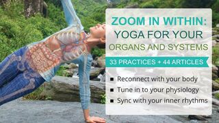 Zoom In Within: Yoga for Your Organs and Systems