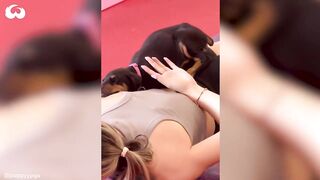 Can you Do Yoga With A Dog? What A Puppy Yoga Class Looks Like *Cuteness Overload*