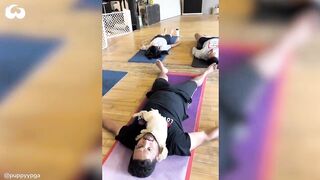 Can you Do Yoga With A Dog? What A Puppy Yoga Class Looks Like *Cuteness Overload*