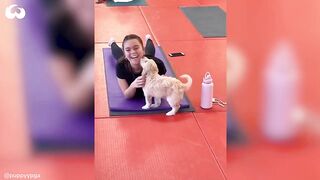 Can you Do Yoga With A Dog? What A Puppy Yoga Class Looks Like *Cuteness Overload*