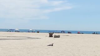 Ford Maverick rainbow and RC cars at the beach