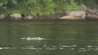 LOOP Travel - Pinware river, Labrador