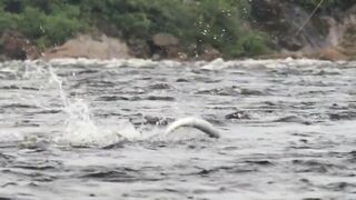 LOOP Travel - Pinware river, Labrador