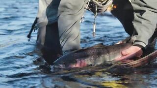 LOOP Travel - Pinware river, Labrador