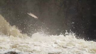 LOOP Travel - Pinware river, Labrador