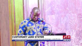 Customary land system: Digitization of land administration to address land sale challenge - Minister