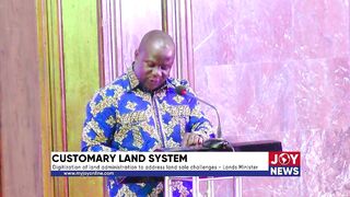 Customary land system: Digitization of land administration to address land sale challenge - Minister