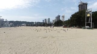 Chowpatty beach ⛱️ || Mumbai Maharashtra ||@adeshyadav67