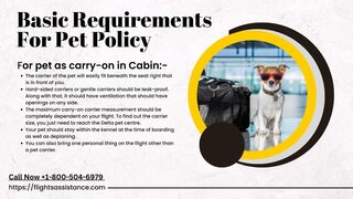 Delta Airlines Pet Travel Policy | Flights Assistance