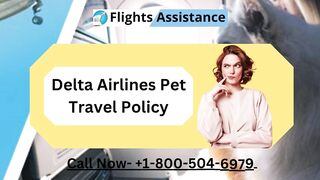 Delta Airlines Pet Travel Policy | Flights Assistance