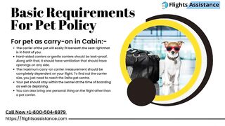 Delta Airlines Pet Travel Policy | Flights Assistance