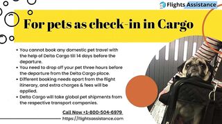 Delta Airlines Pet Travel Policy | Flights Assistance