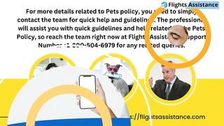 Delta Airlines Pet Travel Policy | Flights Assistance