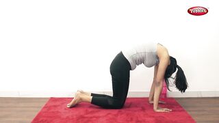 Cat Pose | Yoga For Beginners | Yogasan in Gujarati | Yoga For Weight Loss