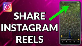 How To Share Instagram Reels