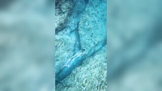 Deep Underwater Girl Swimming | Bikini Girls Swimming In Underwater 128 | Underwater Official 10M