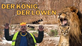 Der König der Löwen ???? | Wilke.Zierden Instagram | Momentaufnahme - Alt aber Gut