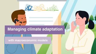 Managing Climate Risks and Adaptation with Macroeconomic Models