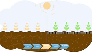 Managing Climate Risks and Adaptation with Macroeconomic Models