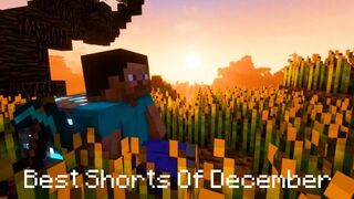 Best of December 2022 - Minecraft Shorts Compilation