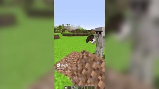 Best of December 2022 - Minecraft Shorts Compilation