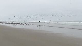 Foggy new years morning of Daytona Beach: 01/01/2023