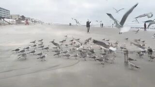 Foggy new years morning of Daytona Beach: 01/01/2023