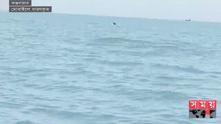 কক্সবাজার সৈকতে ডলফিন! | Cox's Bazar | Sea Dolphins | Cox's Bazar Beach | Somoy TV