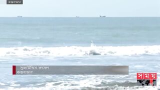 কক্সবাজার সৈকতে ডলফিন! | Cox's Bazar | Sea Dolphins | Cox's Bazar Beach | Somoy TV