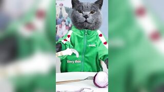 Funny Videos That Hope You Have A Nice Weekend????#oscarfunnyworld #funnycat #shorts