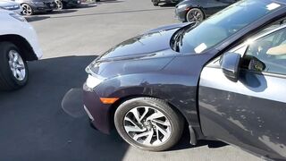 Honda Civic Horn Compilation #1