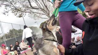 LET’S TAKE A PUPPY #YOGA CLASS ????????